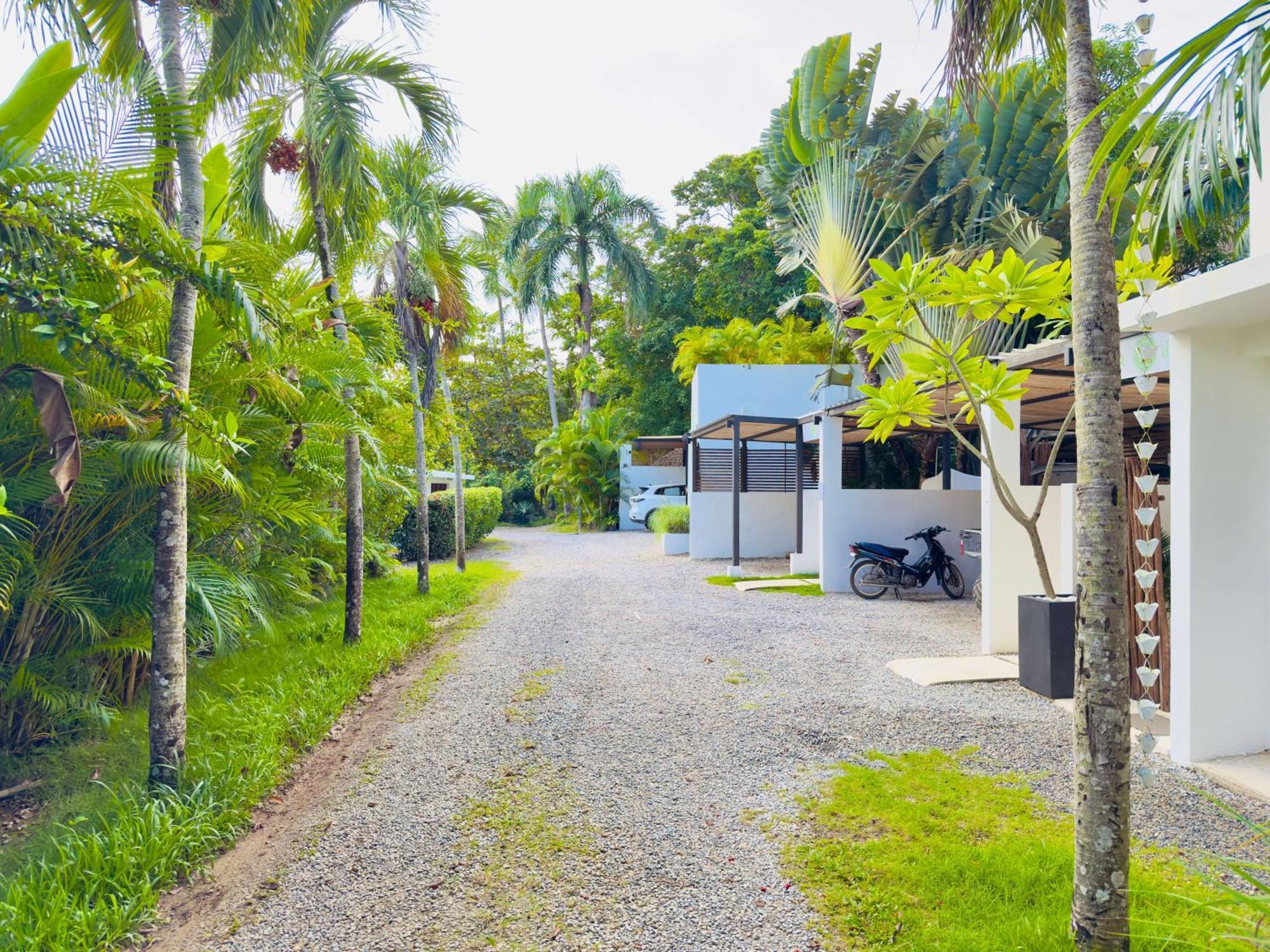 Ferienwohnung Soul Dream Bonita Las Terrenas Exterior foto