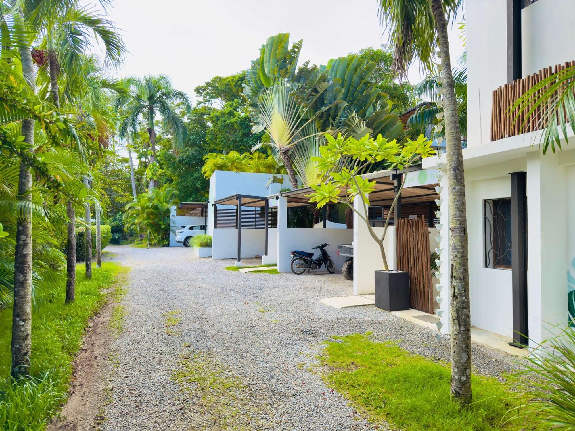 Ferienwohnung Soul Dream Bonita Las Terrenas Exterior foto